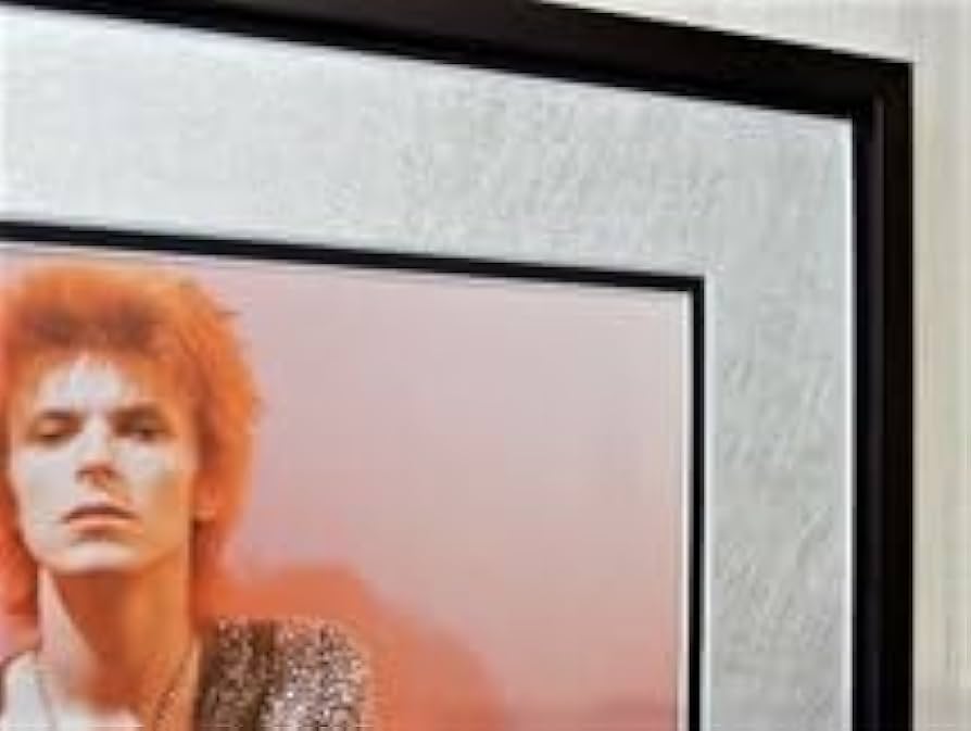 Amazon.co.jp: デヴィッド・ボウイ/Ziggy Tour 1972/アート